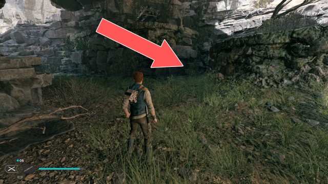 Southern Reach Seed Pod 13/19