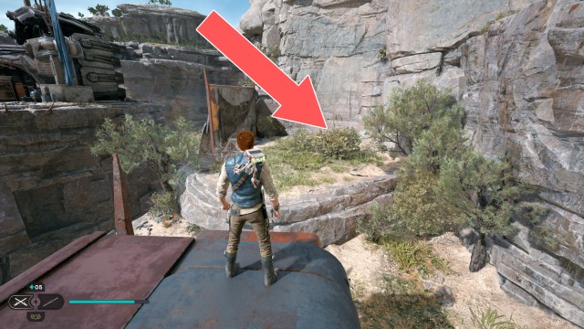 Southern Reach Seed Pod 15/19