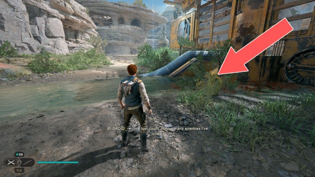 Southern Reach Seed Pod 17/19