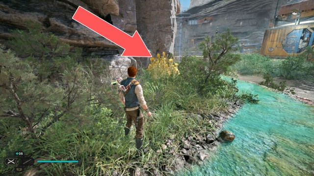 Southern Reach Seed Pod 16/19