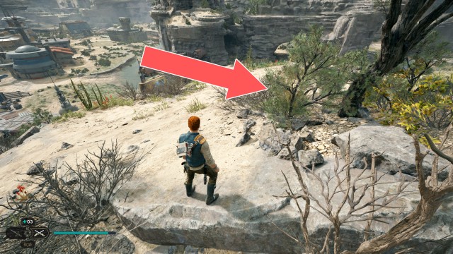 Southern Reach Seed Pod 18/19