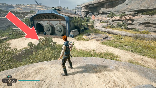 Southern Reach Seed Pod 4/19