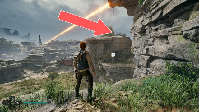 Southern Reach Seed Pod 19/19