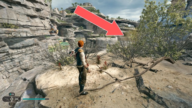 Southern Reach Seed Pod 19/19