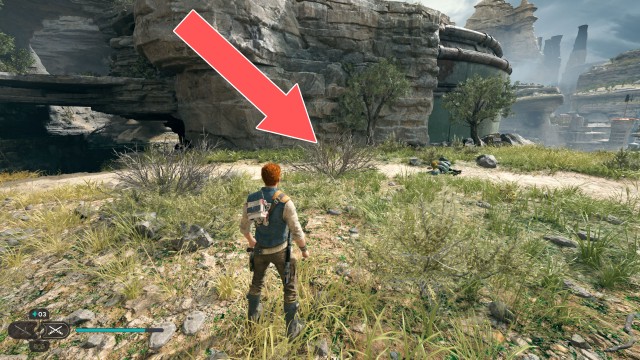 Southern Reach Seed Pod 14/19