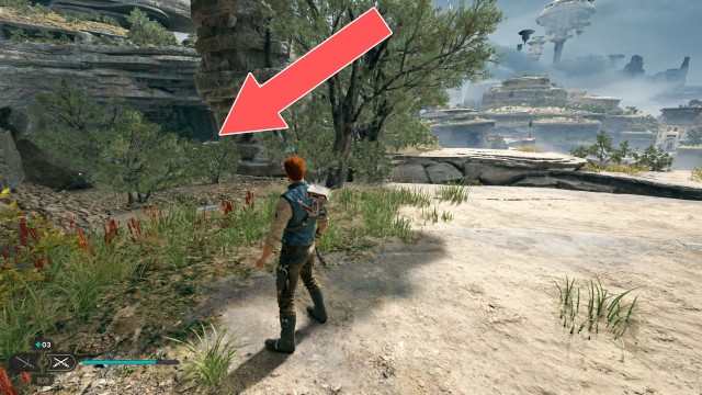 Southern Reach Seed Pod 12/19