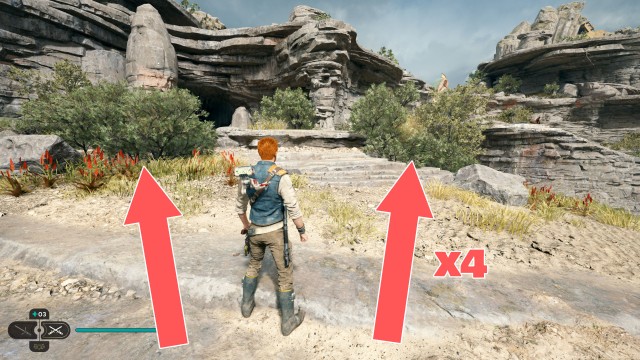 Southern Reach Seed Pod 5/19