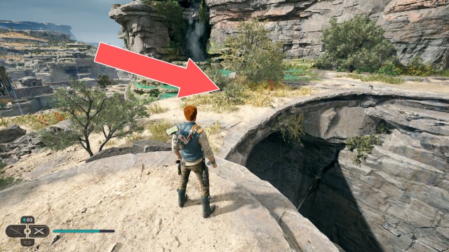 Southern Reach Seed Pod 10/19