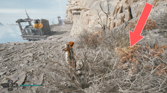 Summit Ridge Seed Pod 1/3