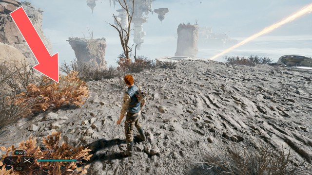 Summit Ridge Seed Pod 2/3