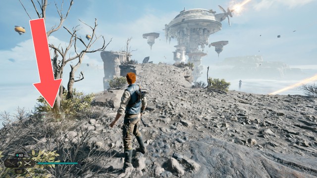 Summit Ridge Seed Pod 3/3