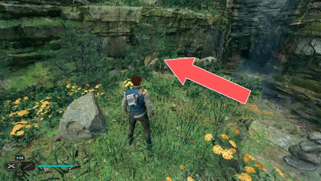 Swindler's Wash Seed Pod 6/11