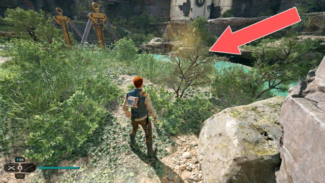 Swindler's Wash Seed Pod 1/11