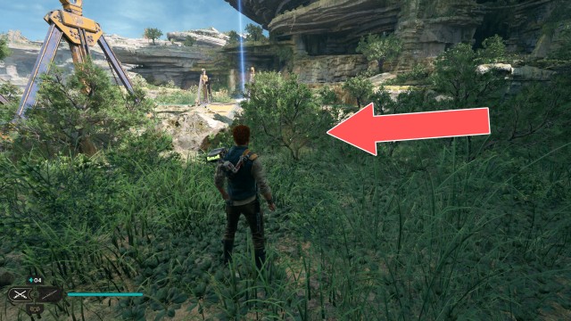 Swindler's Wash Seed Pod 7/11