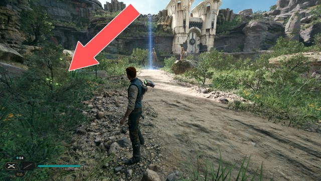 Swindler's Wash Seed Pod 2/11