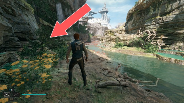 Swindler's Wash Seed Pod 4/11