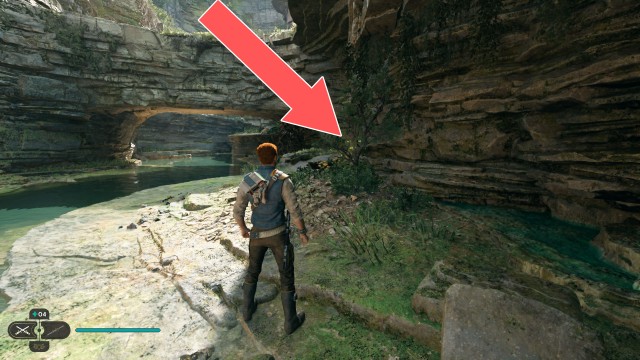 Swindler's Wash Seed Pod 5/11