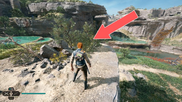 Swindler's Wash Seed Pod 3/11