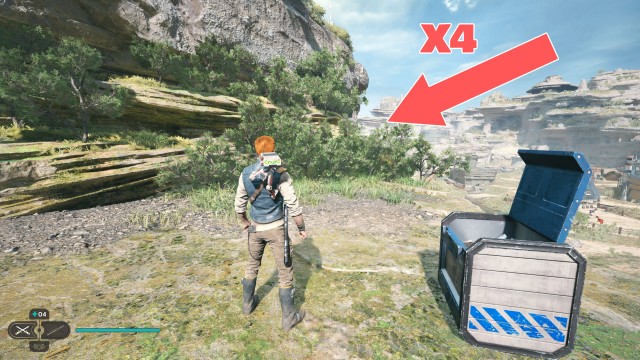 Swindler's Wash Seed Pod 8/11