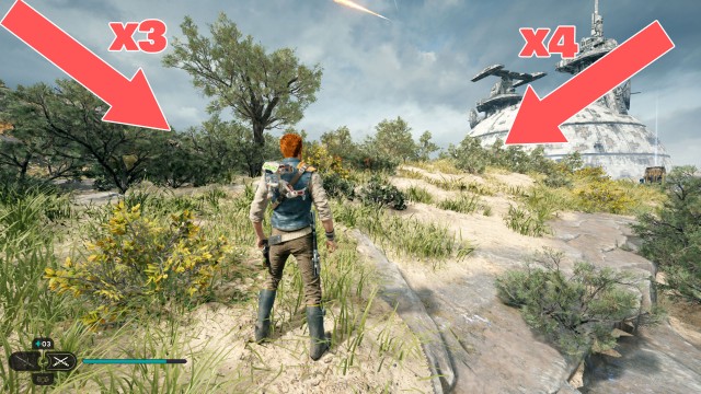 Untamed Downs Seed Pod 4/10