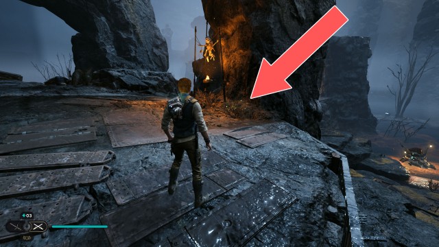 Viscid Bog Seed Pod 1/3