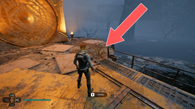 Viscid Bog Seed Pod 3/3