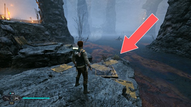 Viscid Bog Seed Pod 2/3