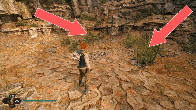 Winding Ravine Seed Pod 4/5