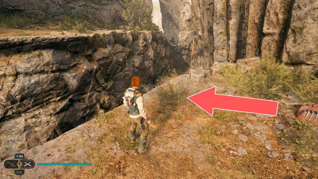 Winding Ravine Seed Pod 1/5