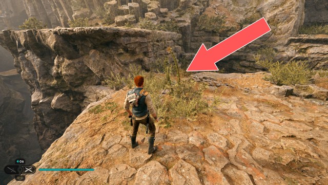 Winding Ravine Seed Pod 3/5