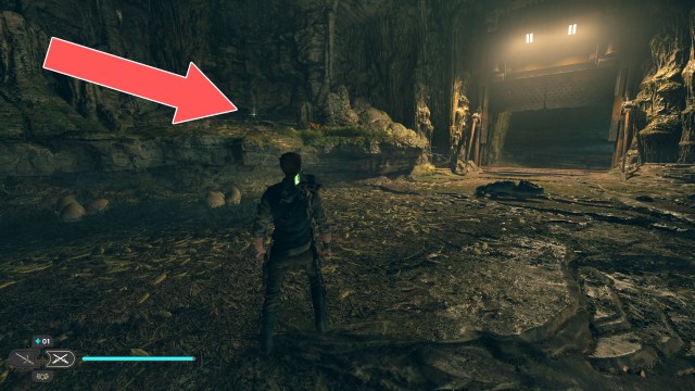 Moldy Depths Treasure 1/1