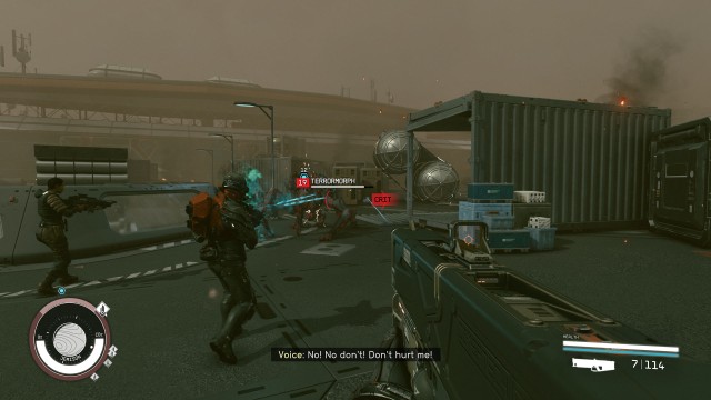 (Optional) Speak to the Fireteam / Eliminate the Terrormorphs