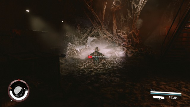 Follow Ethan / Explore the ruins