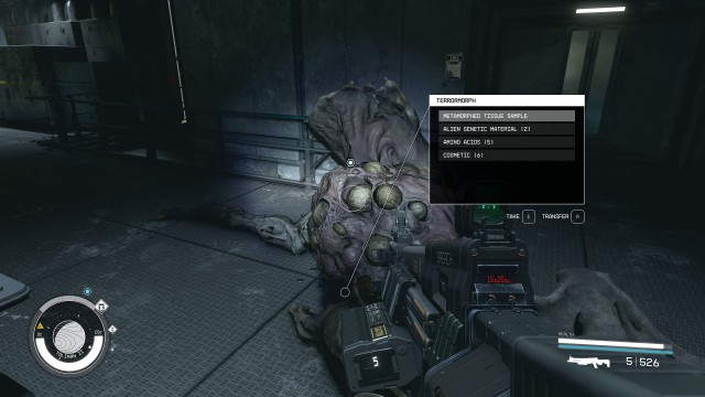 Collect a tissue sample from the Terrormorph