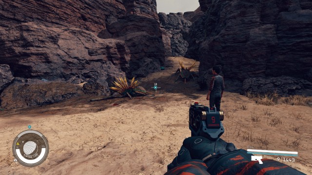 Find the Ruffians by examining their tracks