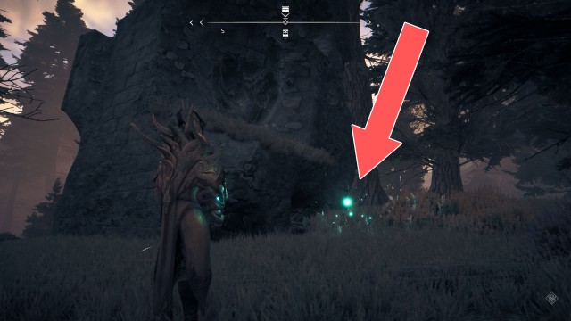 "A forest with secrets" Treasure Map Chest