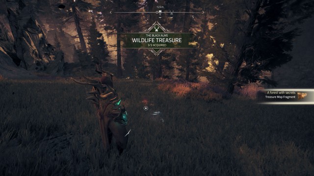 "A forest with secrets" Treasure Map Piece 3/3