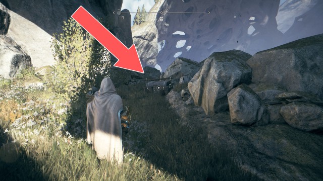 Animal Pelts (Rare)