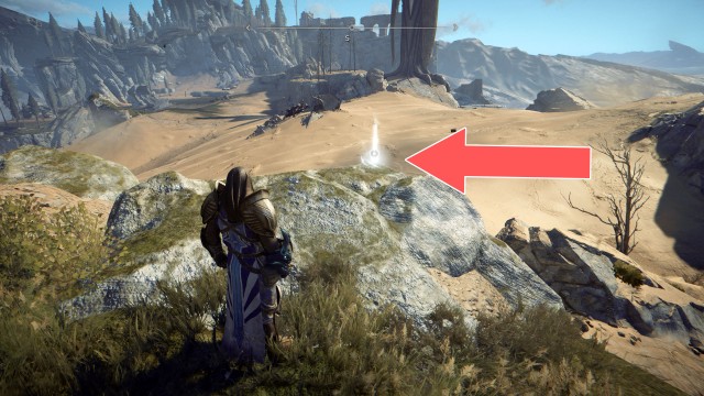 Replacement Limb (Rare)