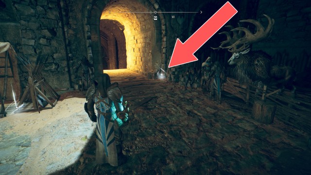 Replacement Limb (Rare)