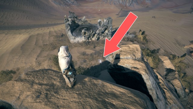 Replacement Limb (Rare)