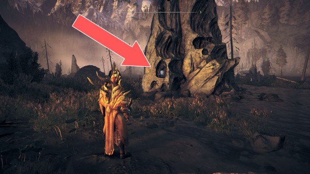 Replacement Limb (Rare)