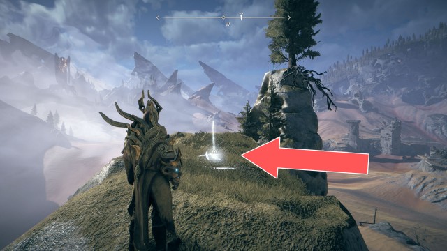 Replacement Limb (Rare)