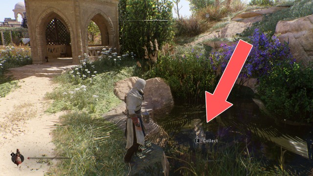 Delight by the Dome Treasure