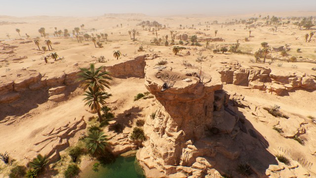 Oasis Viewpoint