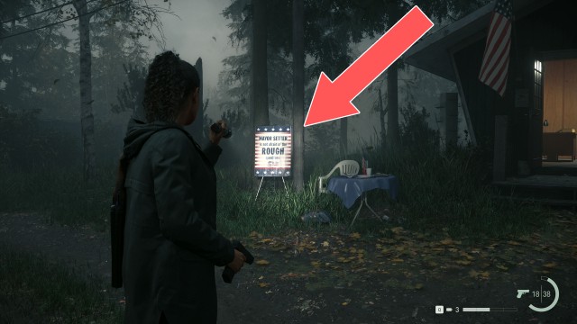 Setter for Mayor Sign #5