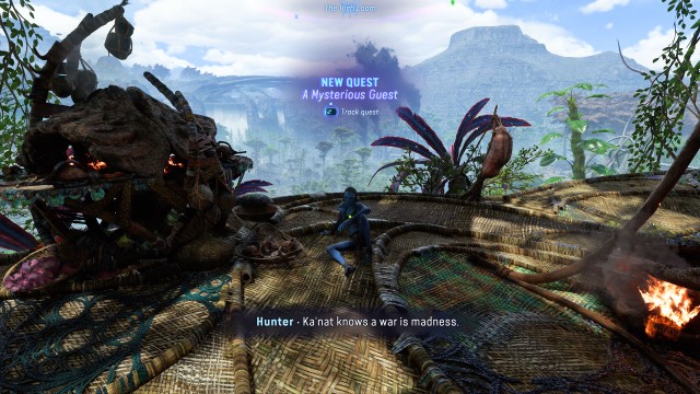 A Mysterious Guest (-)