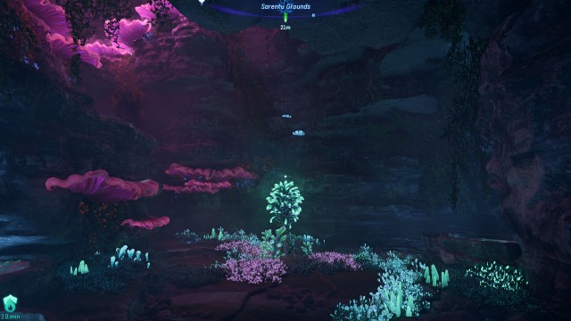 Bellsprig (Step's Cradle)