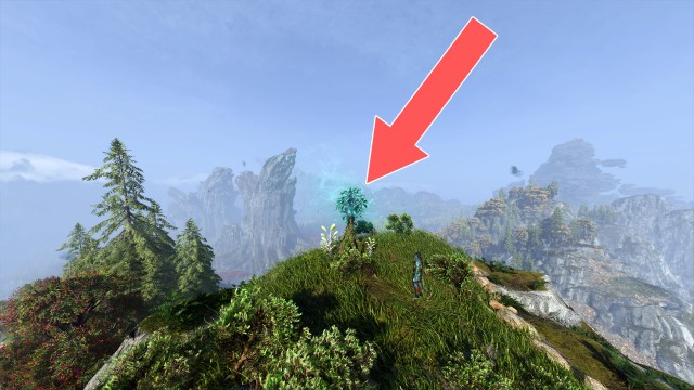 Bellsprig (The Cut)
