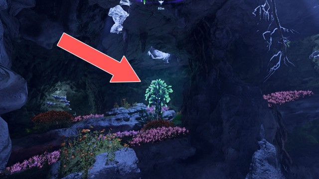 Bellsprig (The Stone Hold)